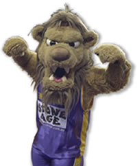 lion supporters